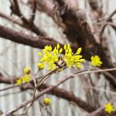 청도역 관광안내소 이미지