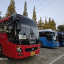 일지매 여행사 이미지