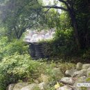 비룡민박 이미지