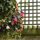 오늘은좋은날 이미지