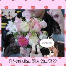 얀의원 | 얀클리닉 블룸 쥬베룩 스킨 후기｜내돈내산으로 받아본 피부결 변화