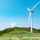 순환목장 이미지