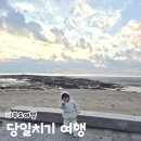 오솔길 | 제부도 당일치기 여행 오솔길 정원 카페 후기 서해랑 케이블카 가격 할인정보