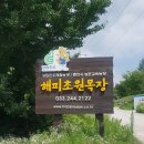 초원목장 이미지