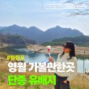 관음송 | 단종유배지 관음송 아름다운 청령포 주차 입장료 대기시간 후기