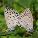 계곡&풍경 이미지
