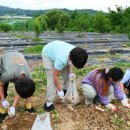 조마초등학교 이미지