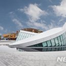 라이브초이스노래