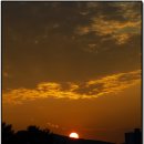 율동농장 이미지