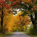 더프리티영의원 이미지