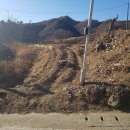 덕신해수욕장 이미지