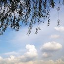 삼락생태공원 이미지