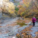 산성골 Daum카페