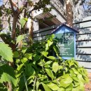 단장파출소 이미지