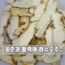 경주사랑