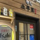 쇼쿠토 | 배곧 맛집 쇼쿠토 방문기 l 연어 덮밥, 차슈동 맛집