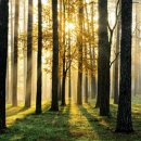 대림종합건설 주식회사 이미지