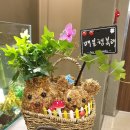 메디움강남요양병원 네이버블로그