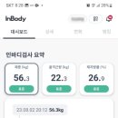 임덕민복싱클럽