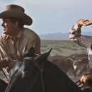 자이언트목장 이미지