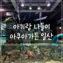 가재야 | [고양] 아쿠아가든 일산 물고기 카페 후기 (가재, 아기랑 나들이)