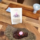 서울대 입구/낙성대 행운동 스페인 디저트 따빠디또 디저트 따빠스바 (Tapadito Dessert Tapas Bar...