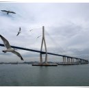 진황도로 이미지