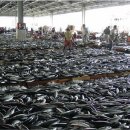 부산공동어시장노동조합 이미지