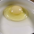 원천농장 이미지