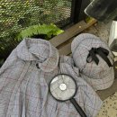 971004 | 나 홀로 고베 셜록홈즈 영국관 오사카 가볼만한곳 기타노이진칸 베이커스트리트 포토존 여행지 추천 사진多