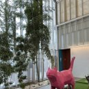 티욤핑크 케이피씨청도점 | 청도 브런치카페 / 아이와 가기 좋은 카페 : 티욤핑크 방문후기