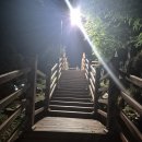 충청남도 산림박물관 | 공주 산림휴양마을 야영장/ 공주 휴양마을에서의 1박 2일 솔직 후기~!!!