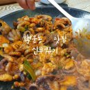 신 백운 이미지