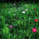 마음의 양식 이미지