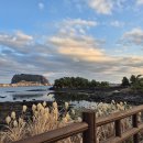 오조 | 제주 성산 ㅣ 노을맛집 오조포구 일몰후기 &amp; 꿀팁 💕