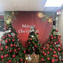 양경청과 이미지