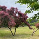 나무안에서 이미지