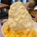 목화까페 | 잠실 롯데월드몰 카페 로이즈 ROYS 후기, 생망고 목화빙수가 인상적이었던 디저트 맛집