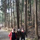 갈맷길(7-1구간) 이미지