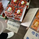 보보스과일&야채