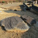 충의공 이유길 의마총 이미지