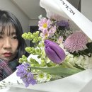 회사가라 | 새회사1달후기