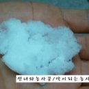 선녀와농사꾼