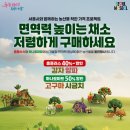 서울채소