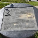 작은나무숲 이미지