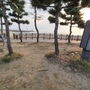 물치해수욕장 화장실 이미지