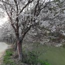 왕촌농장 이미지