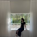 미리내 맨션 | 숲속에 있는 듯한 힐링 되는 숙소 < 🌳경주 - 미리내 맨션🌳 >