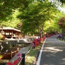 자연에서온 편지 이미지