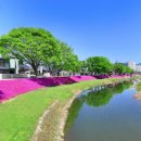 양지천2 이미지